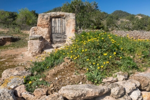 alter Brunnen, serra d'en sendic (2)