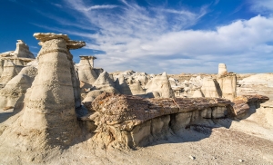 Bisti Wilderness, versteinerte Bäume 020