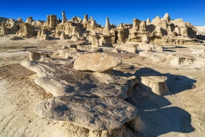 Bisti Wilderness, Hoodoos