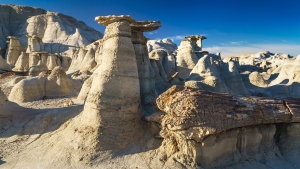 Bisti Wilderness 027