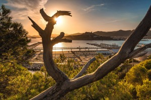 Ibiza-Hafen-18-008