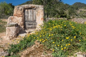 alter Brunnen, serra d'en sendic (3)