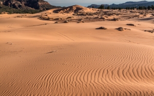 Pink Dunes (6).jpg